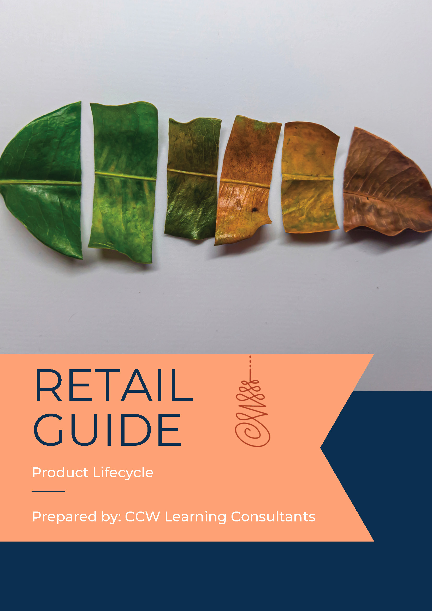 Retail Product Lifecycle
Every product has a journey. This clear, practical guide explores the seven stages of the product lifecycle - from launch to decline - showing how smart stock management and forecasting decisions can maximise sales at every step.